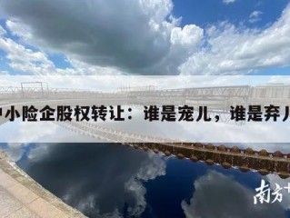 中小险企股权转让：谁是宠儿，谁是弃儿？