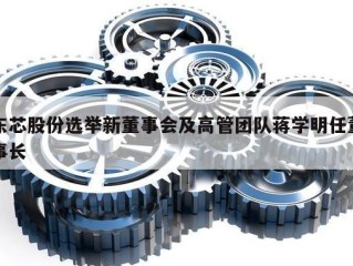 东芯股份选举新董事会及高管团队蒋学明任董事长