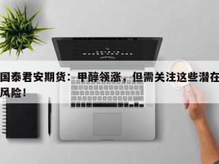 国泰君安期货：甲醇领涨，但需关注这些潜在风险！