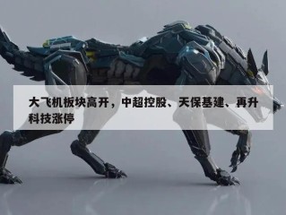 大飞机板块高开，中超控股、天保基建、再升科技涨停