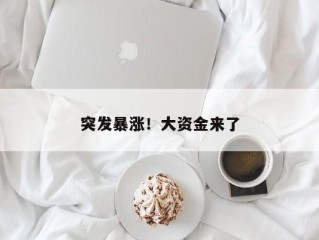 突发暴涨！大资金来了