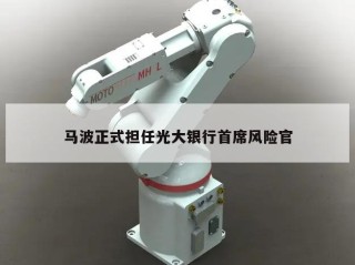 马波正式担任光大银行首席风险官